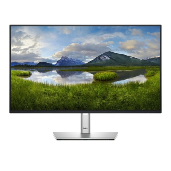 Écran DELL P Series P2425H FHD (P2425H-3Y)